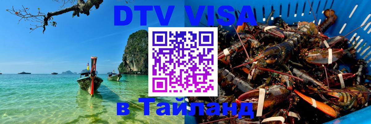 Оформление DTV визы под ключ: стоимость и тарифы, только загранпаспорт - 19.11.2025 